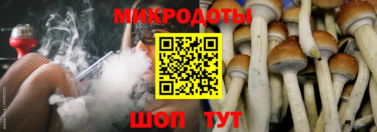 Псилоцибиновые грибы прущие грибы  Вход с VPN  Калининград 